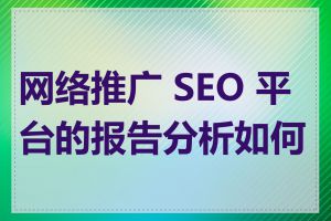 网络推广 SEO 平台的报告分析如何看