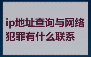 ip地址查询与网络犯罪有什么联系