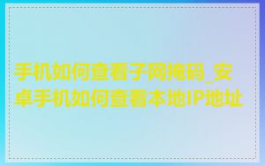 手机如何查看子网掩码_安卓手机如何查看本地IP地址