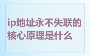 ip地址永不失联的核心原理是什么