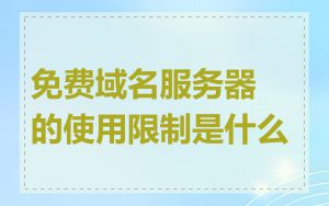 免费域名服务器的使用限制是什么