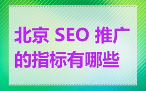 北京 SEO 推广的指标有哪些