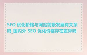 SEO 优化价格与网站前景发展有关系吗_国内外 SEO 优化价格存在差异吗