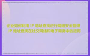 企业如何利用 IP 地址查找进行网络安全管理_IP 地址查找在社交网络和电子商务中的应用