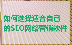 如何选择适合自己的SEO网络营销软件