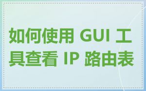 如何使用 GUI 工具查看 IP 路由表
