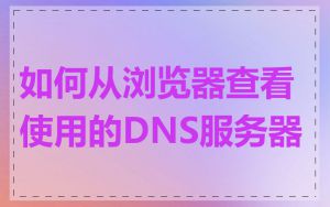 如何从浏览器查看使用的DNS服务器