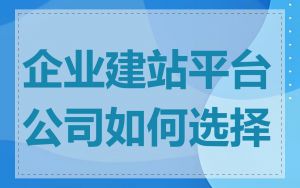 企业建站平台公司如何选择