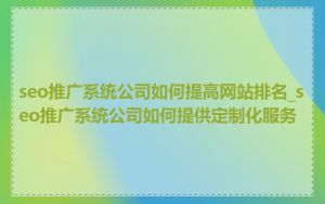 seo推广系统公司如何提高网站排名_seo推广系统公司如何提供定制化服务
