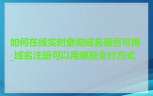 如何在线实时查询域名是否可用_域名注册可以用哪些支付方式