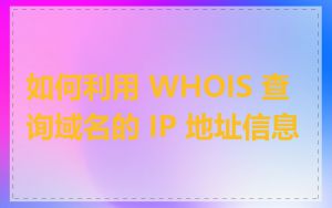 如何利用 WHOIS 查询域名的 IP 地址信息