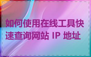 如何使用在线工具快速查询网站 IP 地址