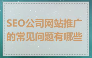 SEO公司网站推广的常见问题有哪些