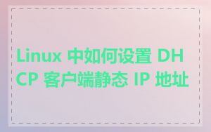 Linux 中如何设置 DHCP 客户端静态 IP 地址