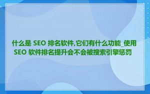 什么是 SEO 排名软件,它们有什么功能_使用 SEO 软件排名提升会不会被搜索引擎惩罚