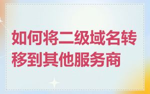 如何将二级域名转移到其他服务商