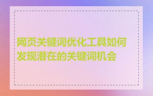 网页关键词优化工具如何发现潜在的关键词机会