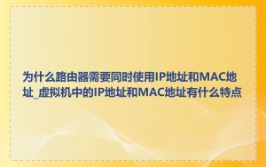 为什么路由器需要同时使用IP地址和MAC地址_虚拟机中的IP地址和MAC地址有什么特点