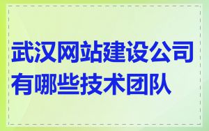 武汉网站建设公司有哪些技术团队