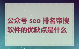 公众号 seo 排名帝搜软件的优缺点是什么