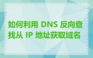 如何利用 DNS 反向查找从 IP 地址获取域名