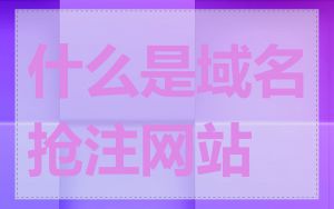 什么是域名抢注网站