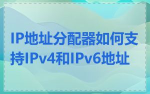 IP地址分配器如何支持IPv4和IPv6地址