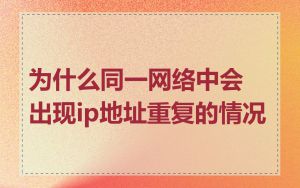 为什么同一网络中会出现ip地址重复的情况