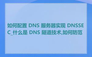如何配置 DNS 服务器实现 DNSSEC_什么是 DNS 隧道技术,如何防范