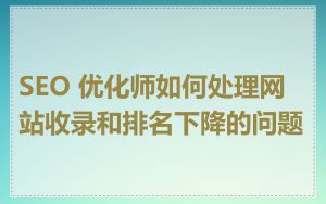 SEO 优化师如何处理网站收录和排名下降的问题