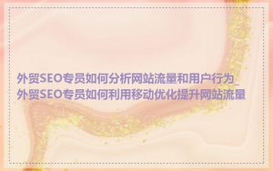 外贸SEO专员如何分析网站流量和用户行为_外贸SEO专员如何利用移动优化提升网站流量