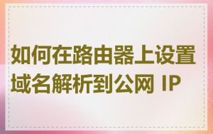 如何在路由器上设置域名解析到公网 IP