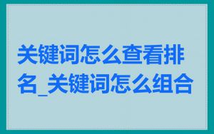 关键词怎么查看排名_关键词怎么组合