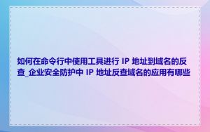 如何在命令行中使用工具进行 IP 地址到域名的反查_企业安全防护中 IP 地址反查域名的应用有哪些