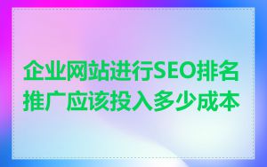 企业网站进行SEO排名推广应该投入多少成本