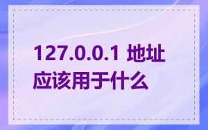 127.0.0.1 地址应该用于什么
