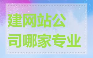 建网站公司哪家专业