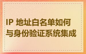 IP 地址白名单如何与身份验证系统集成