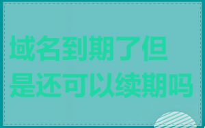 域名到期了但是还可以续期吗