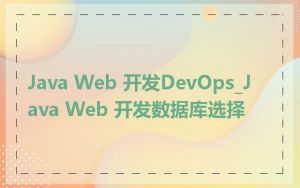 Java Web 开发DevOps_Java Web 开发数据库选择