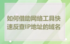 如何借助网络工具快速反查IP地址的域名