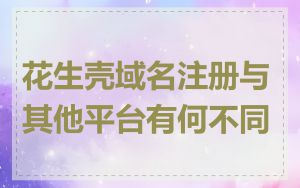 花生壳域名注册与其他平台有何不同