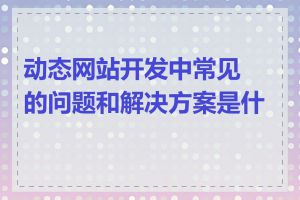 动态网站开发中常见的问题和解决方案是什么