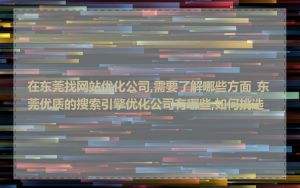 在东莞找网站优化公司,需要了解哪些方面_东莞优质的搜索引擎优化公司有哪些,如何挑选