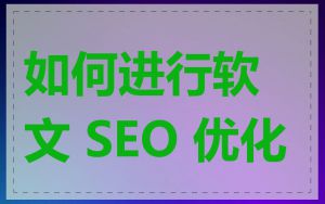 如何进行软文 SEO 优化