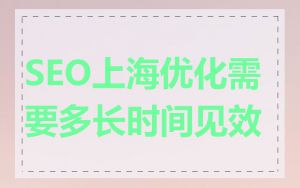 SEO上海优化需要多长时间见效
