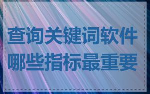 查询关键词软件哪些指标最重要