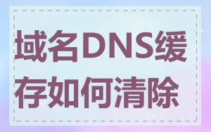 域名DNS缓存如何清除