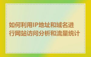 如何利用IP地址和域名进行网站访问分析和流量统计