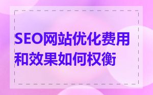 SEO网站优化费用和效果如何权衡